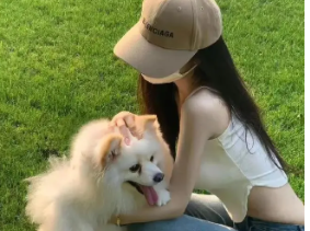 可卡犬属于大型犬吗 耳朵大是最大的特征